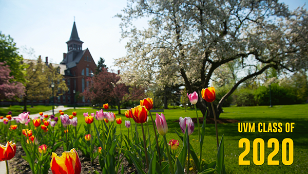 UVM Class of 2020, Tulips on the green