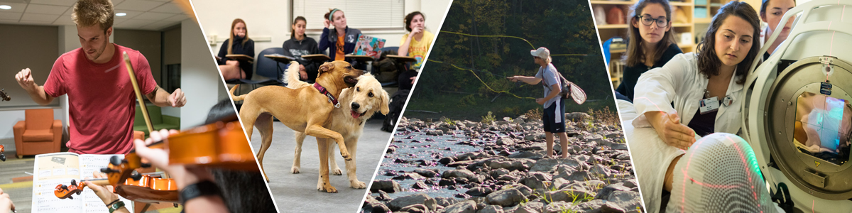 Admitted Students | Undergraduate Admissions | The University of Vermont
