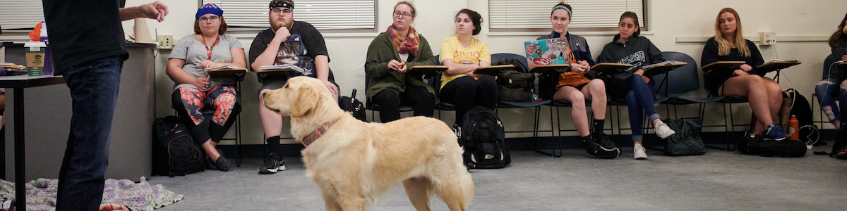 students in a classroom learning about dogs