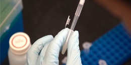 Student holding a pipet during a genetics experiment.