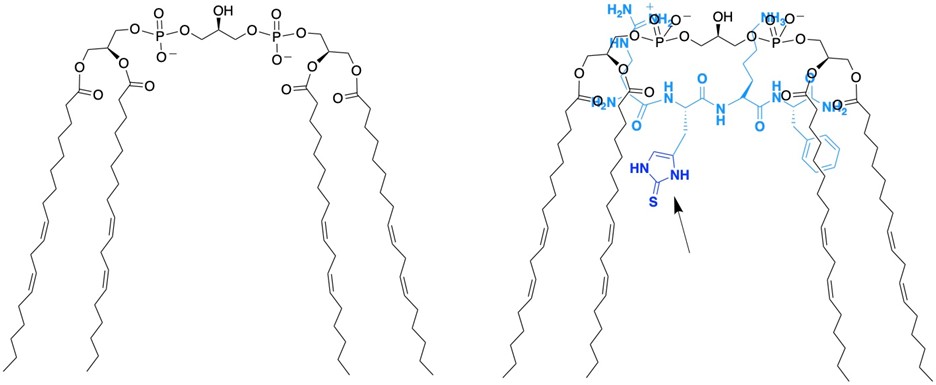 A picture containing diagramDescription automatically generated
