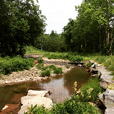 A view looking upstream along a river in the catskills