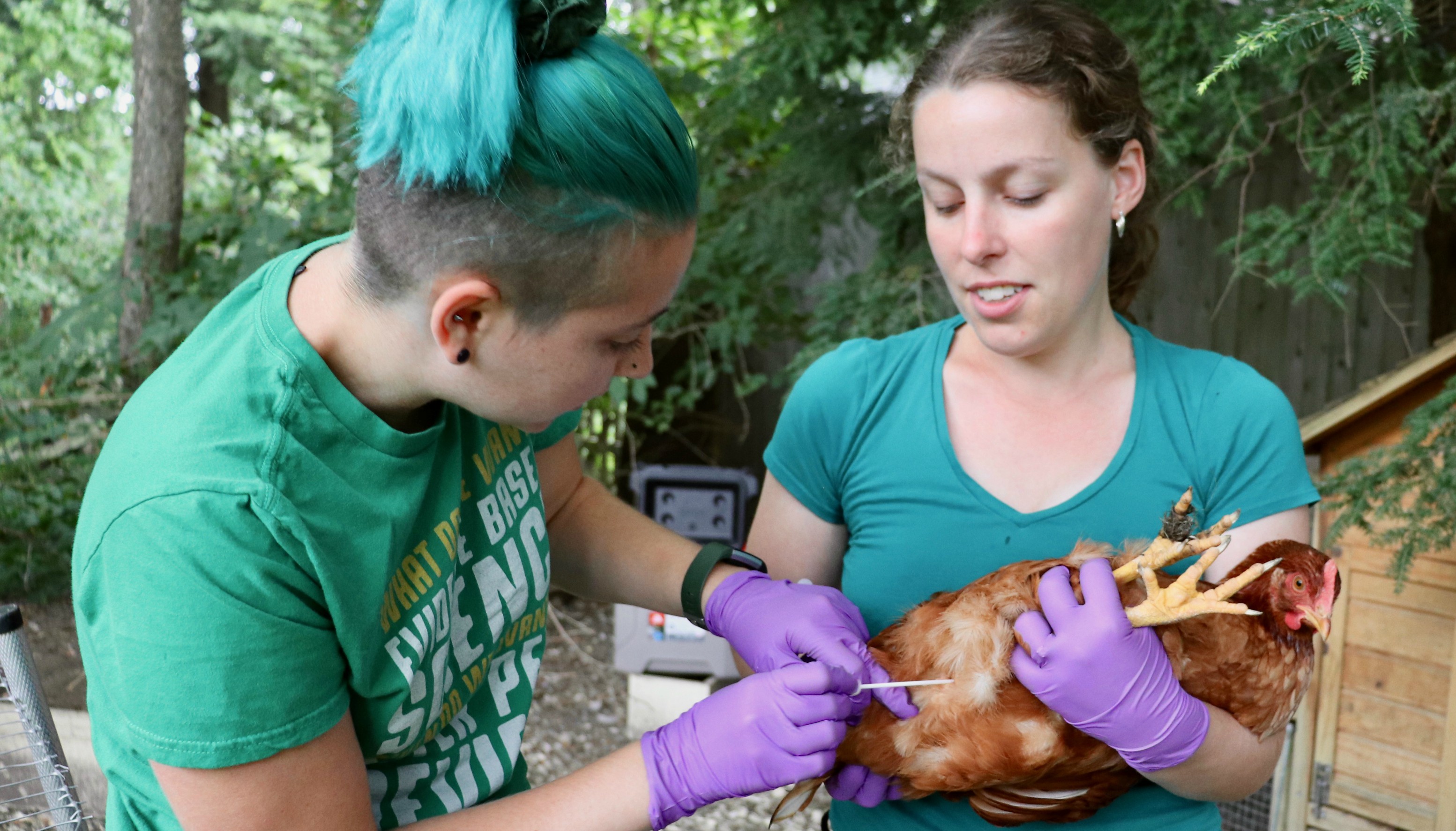 Andrea Etter with graduate student and backyard chickens 