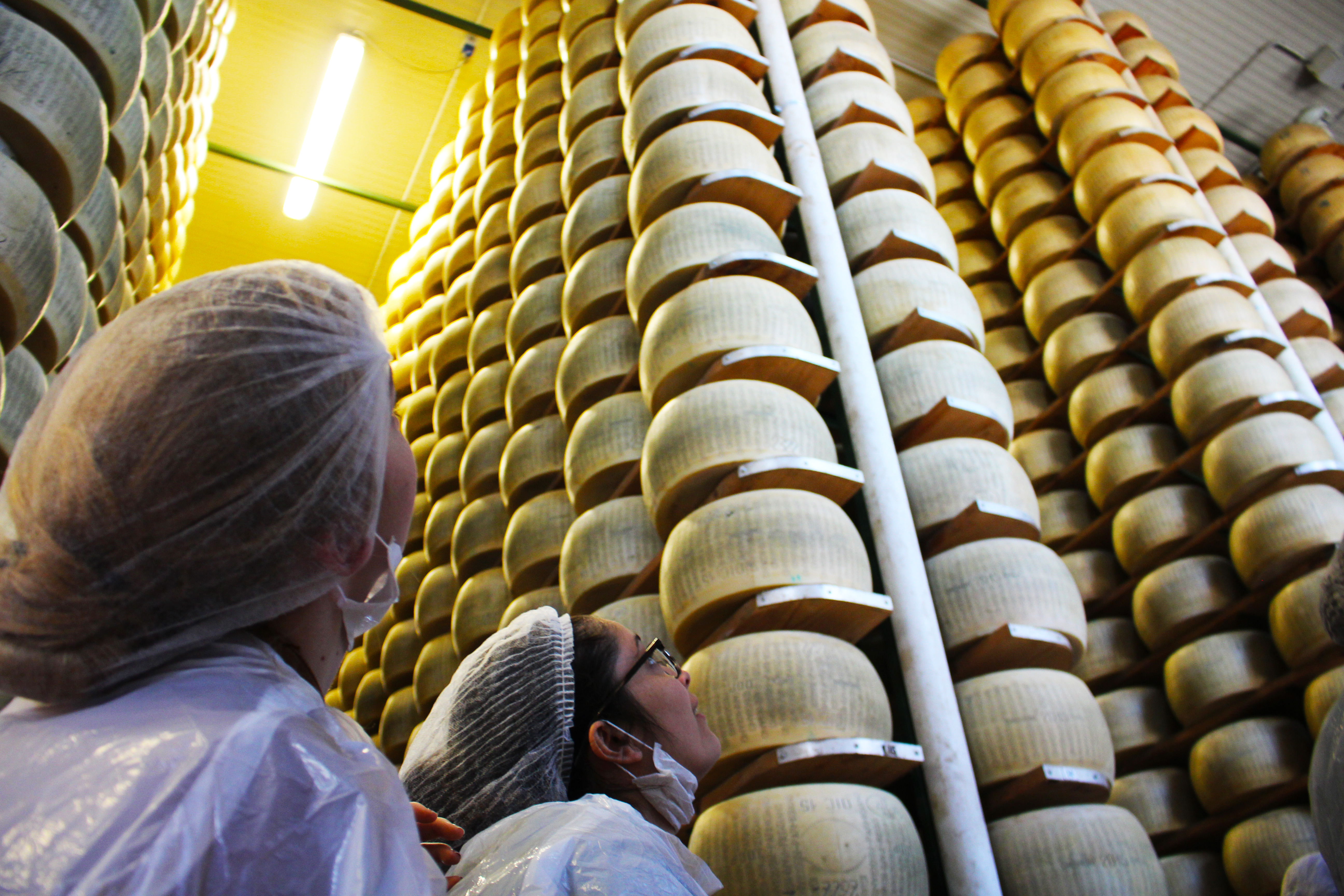 Cheese in Parma