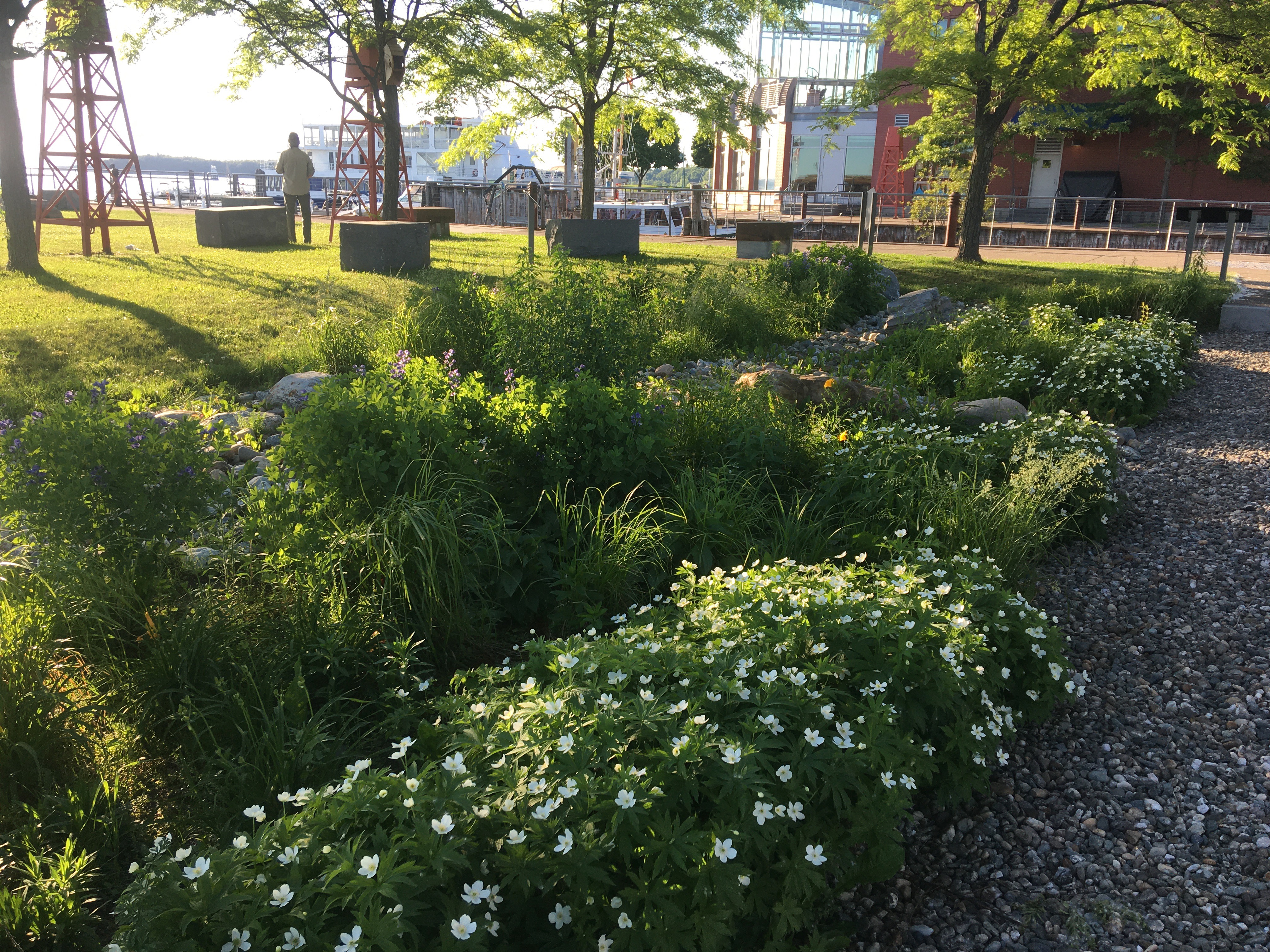 stormwater management at the Burlington lakefront