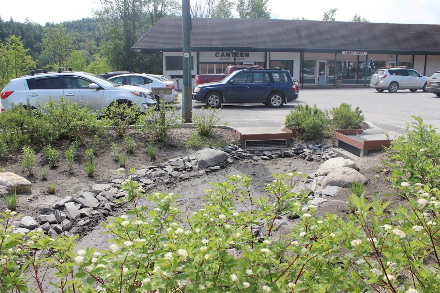 View of parking area in Waitsfield VT with plantings and run off cachement basin.