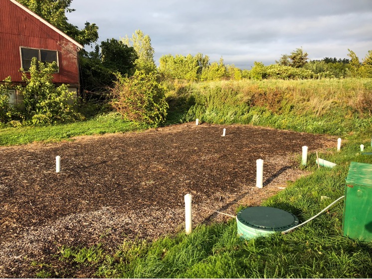 Application of woodchips to mitigate silage run off at Miller Research Farm