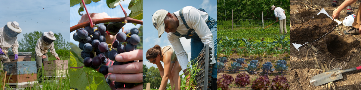 Five photo collage of on-farm education 