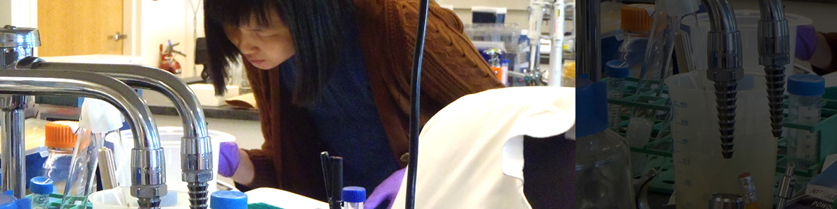 Student conducting lab research