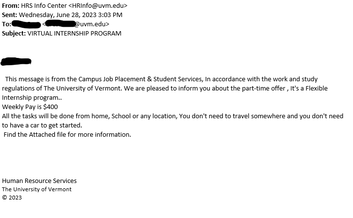 virtual internship program phish