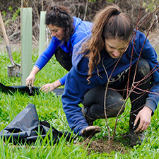 Two students plant seedlings