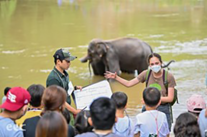 Phoebe working in Kui Buri National Park teaching young people about elephants