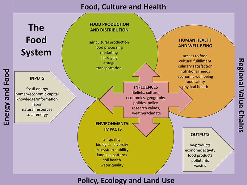 Food System Diagram