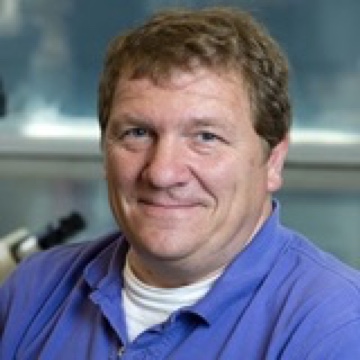 Stephen Everse