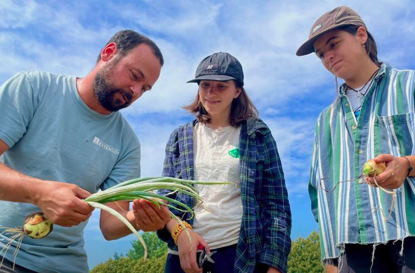 lab research that takes you beyond the classroom