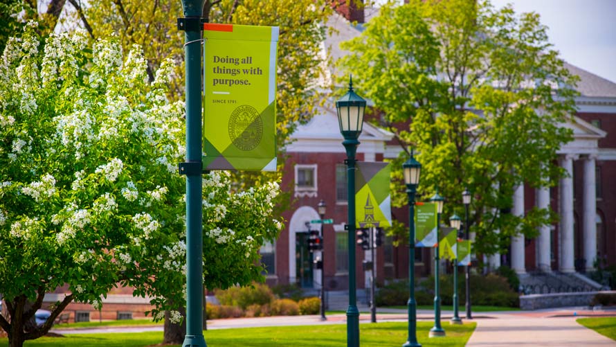 UVM's campus in summer