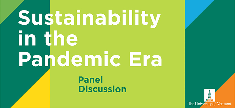 Promotional graphic for the "Sustainability in the Pandemic Era" panel discussion