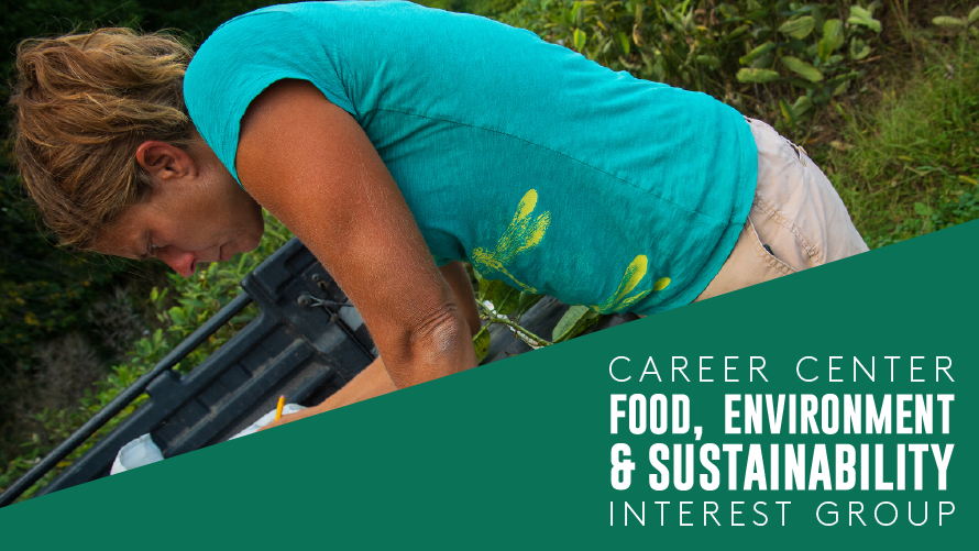 Career
