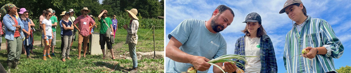 Collage of images showing people working in fields