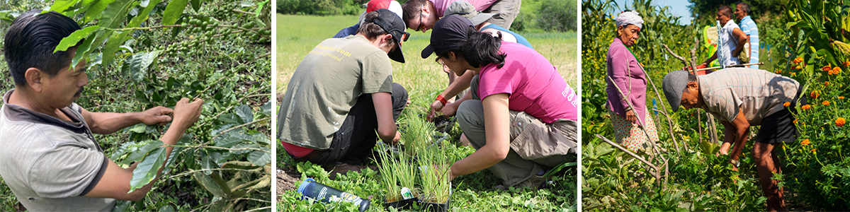 Collage of agroecology workers