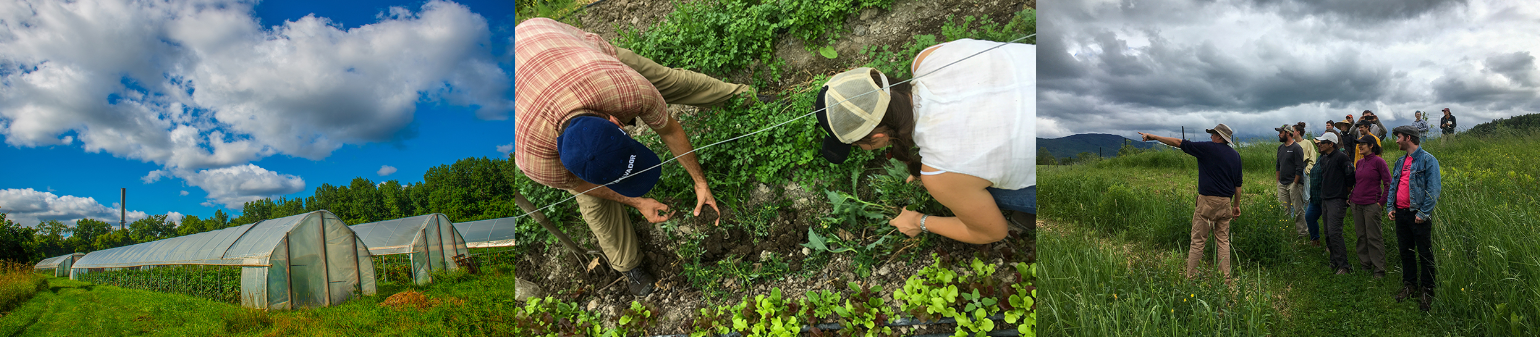 A collage of a greenhouse and people working in fields