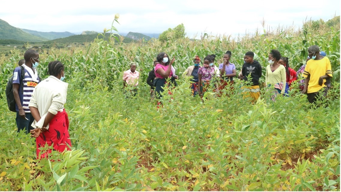 People standing in a field