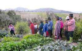 People standing in a field