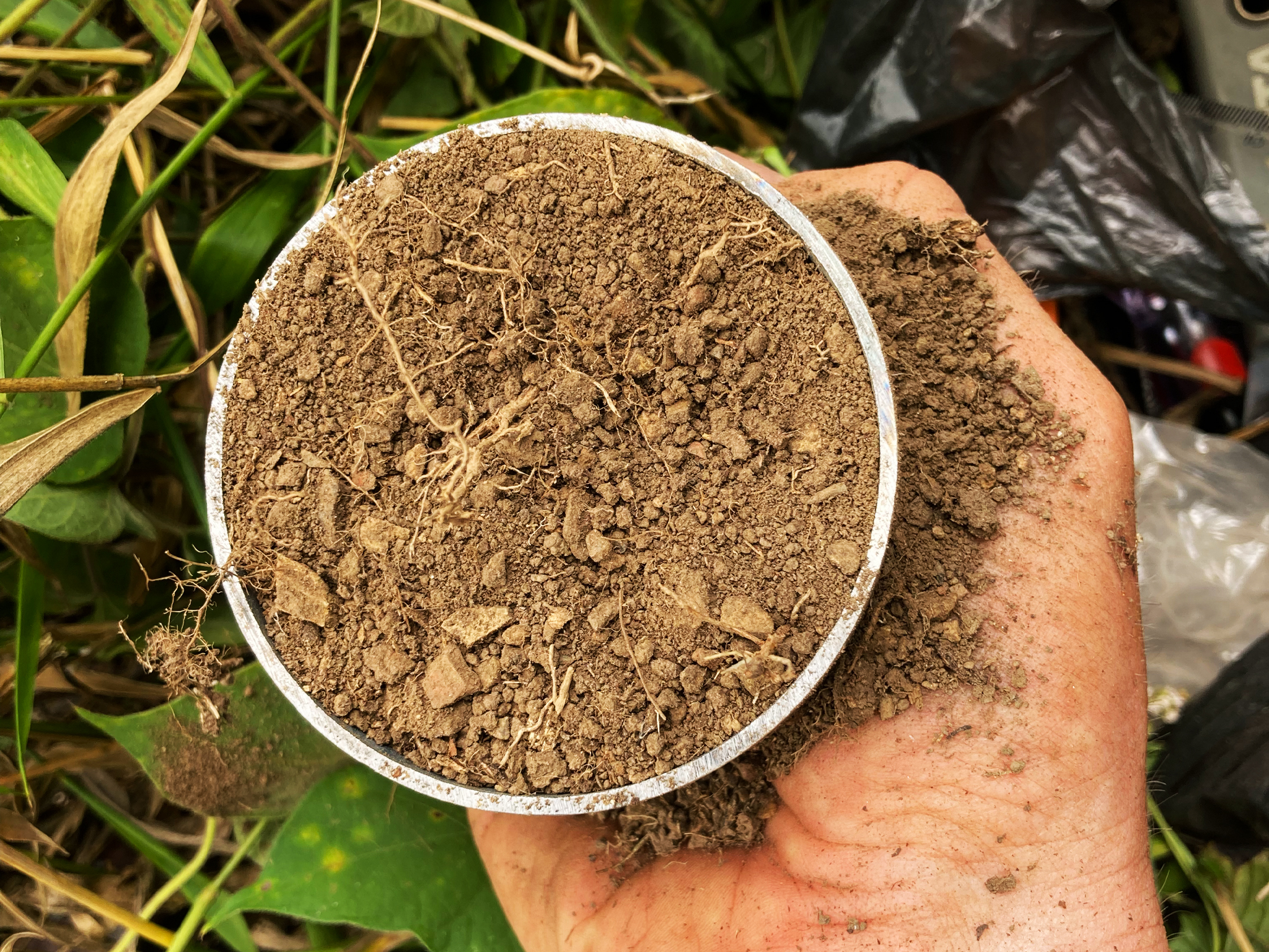 A hand holding a bowl of soil