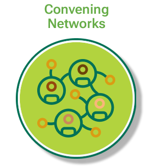 Networks Icon