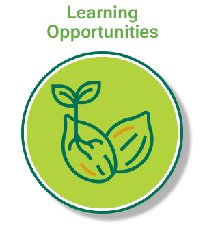 Learning Opportunities Icon