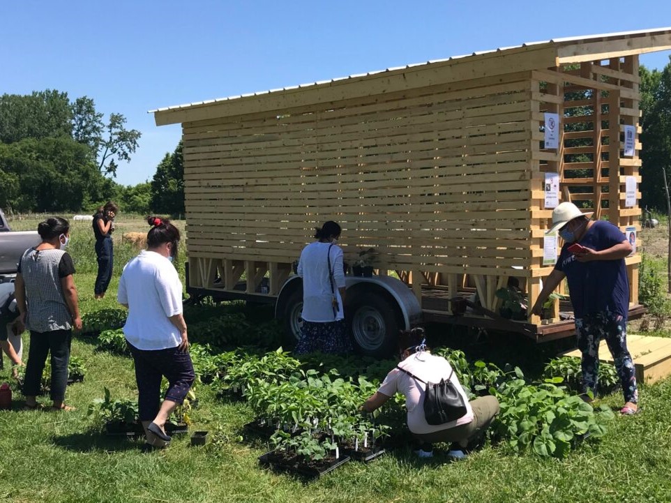 People working in a field