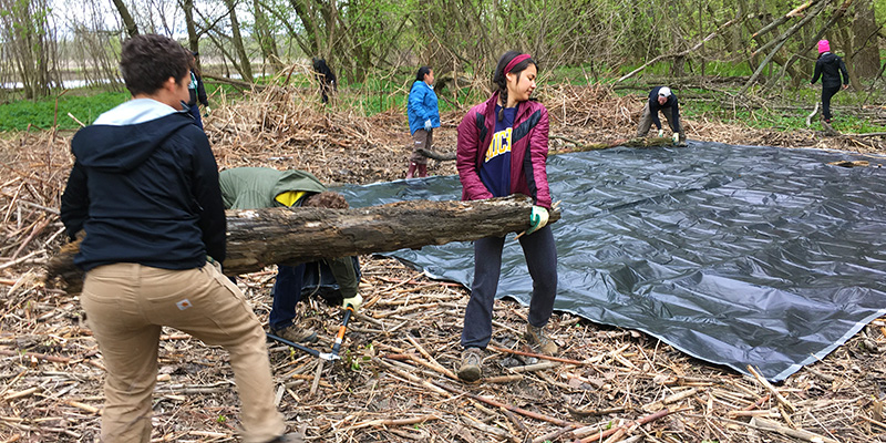 restoration ecology work