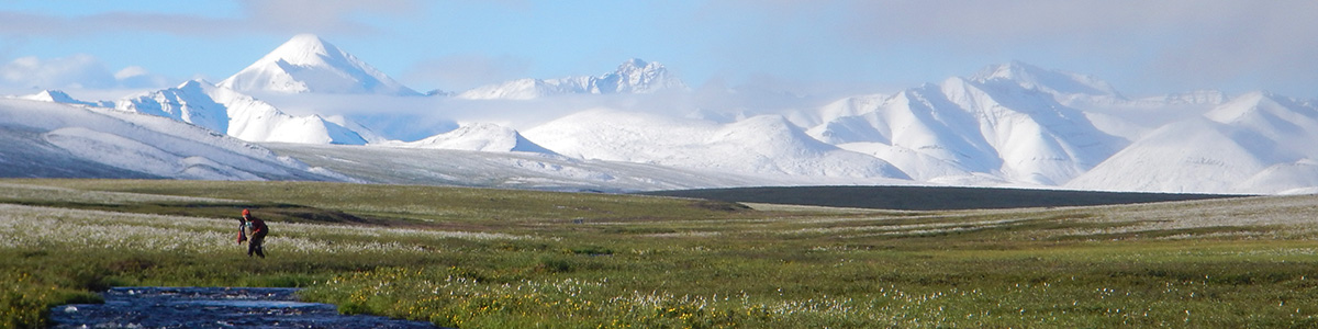 Graduate student in Alaska