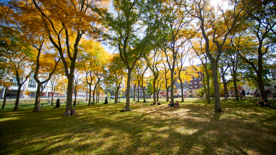 campus