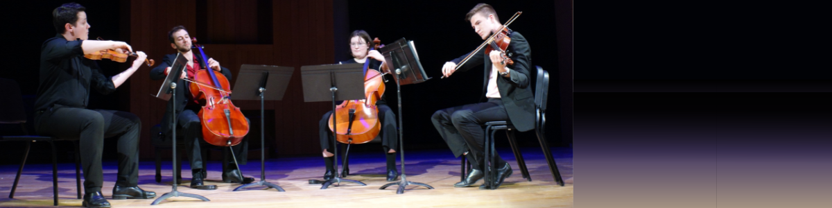 ensemble performance of cellists and violinists