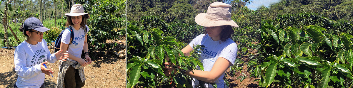 QuEST Trainee, Natalia Aristizabal collaborates with Tropical Agricultural Research and Higher Education Center (CATIE)