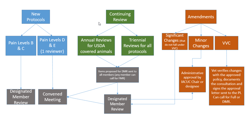 IACUC review process