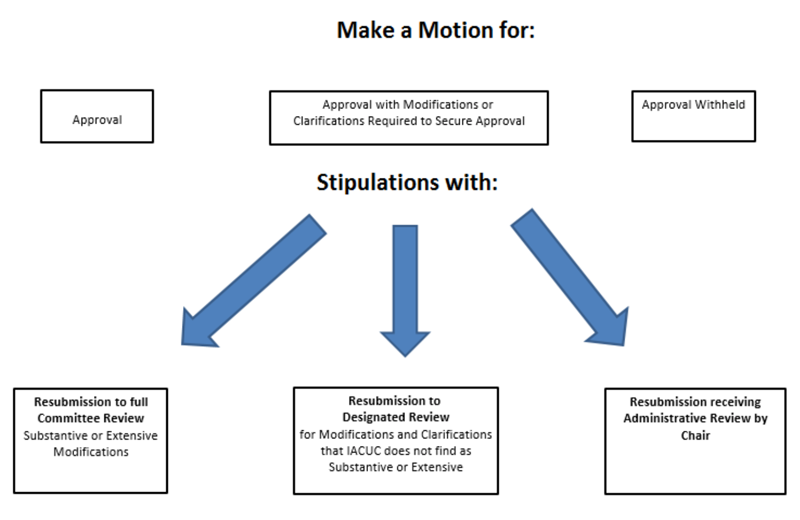 Make a motion approval process flow chart