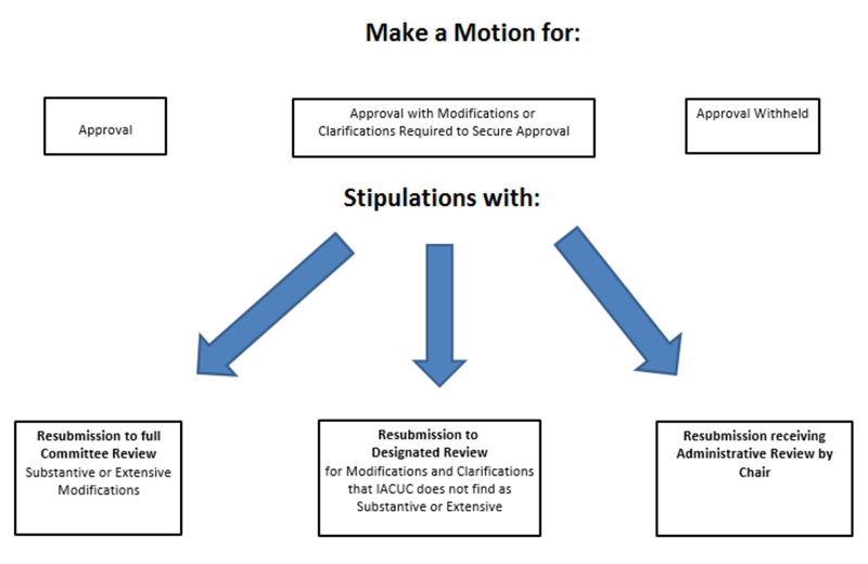 Rodent (Mouse Rat) Colony Management: Principal investigator, Lab