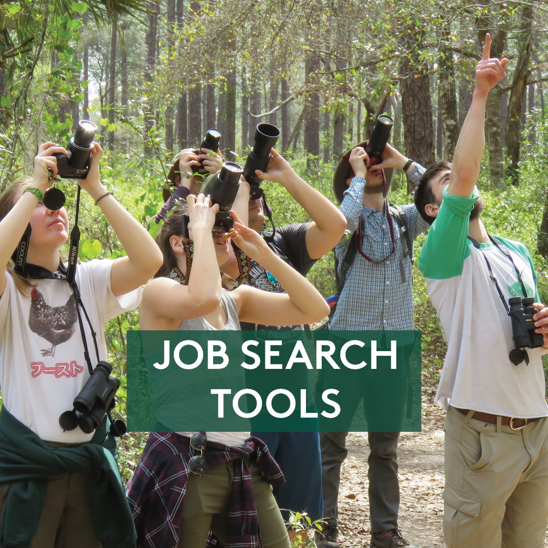 Students using binoculars looking up, text reads "Job search tools"