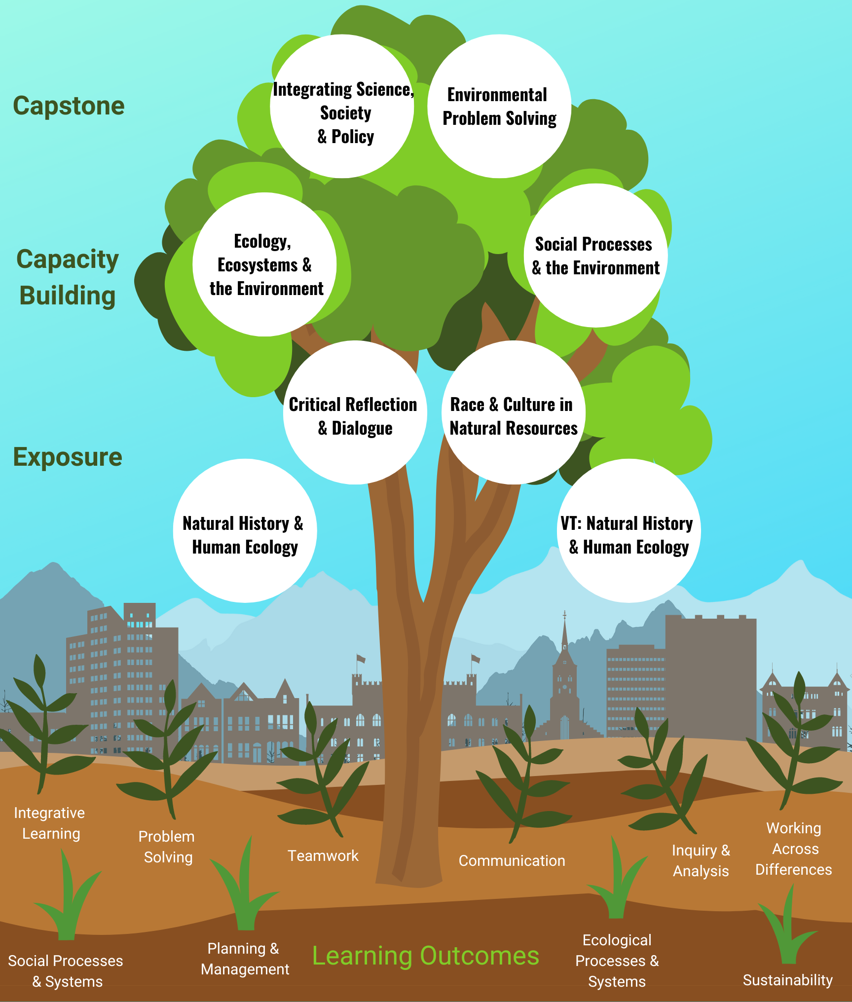 Diagram of the Rubenstein School Core Curriculum with Learning Outcomes along the base of the tree and  8 courses on the crown of the tree in the categories of "Exposure," "Capacity Building," and "Capstone."