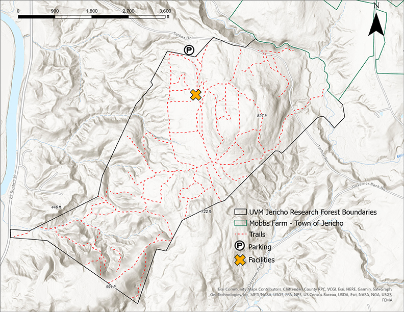 Map of trails at Jericho Research Forest