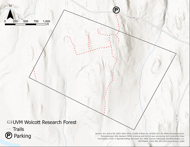 Map showing trails at Wolcott Research Forest