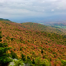 Vermont forest landscape in fall