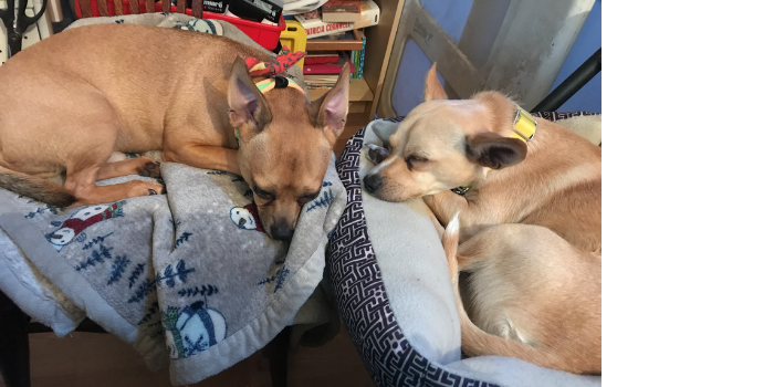 Eggie and Little Man