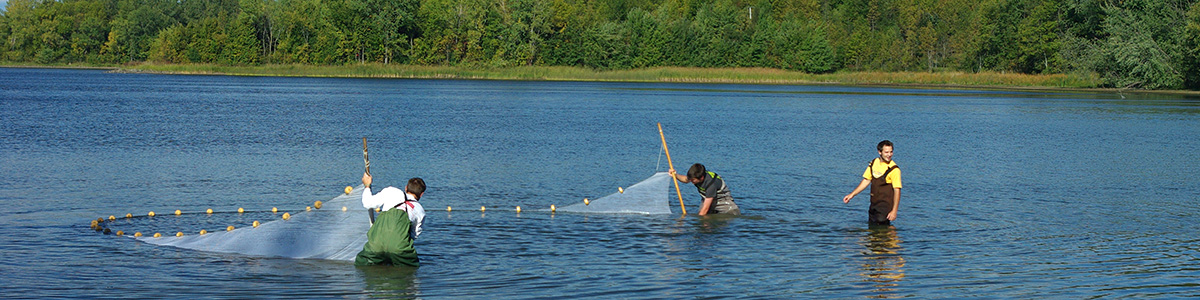 Students with net in lake