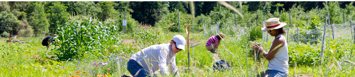 Catamount Farm at UVM