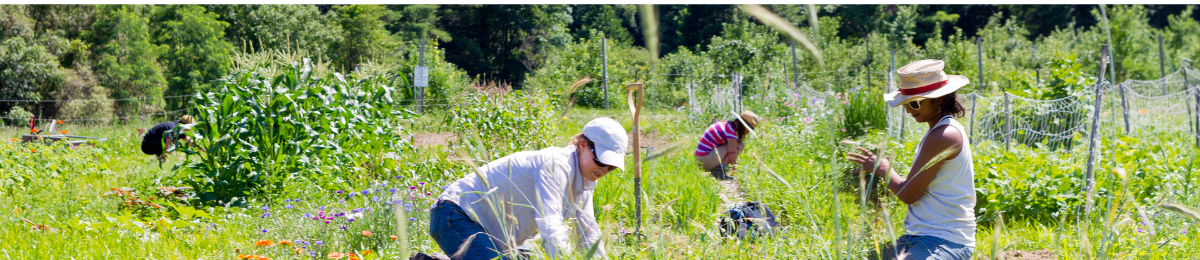 Sustainable Campus Fund | Sustainable Campus Fund | The University of ...