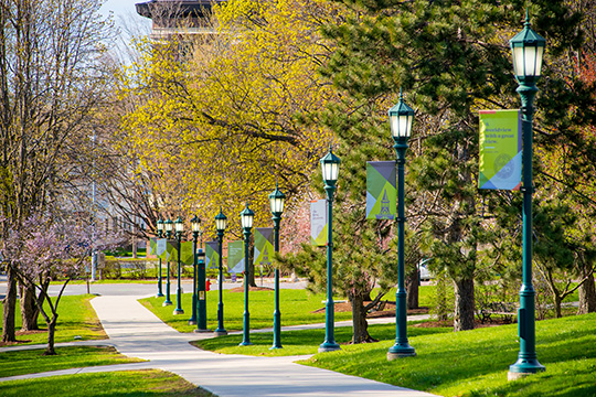 Photo of sidewalk on the UVM green