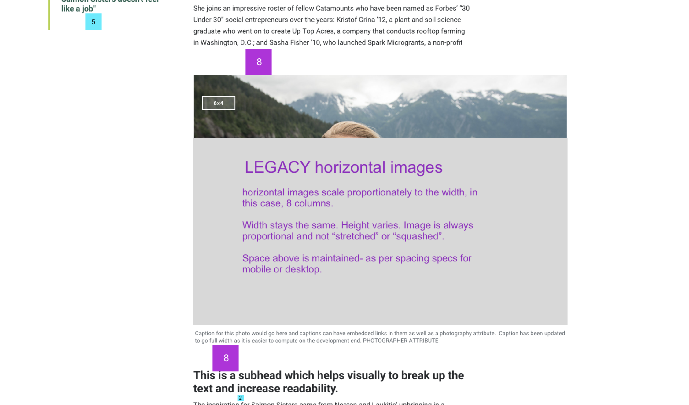 new inline image with a horizontal orientation. a smaller  gray box overlay represents how a legacy 800x400 image would appear.